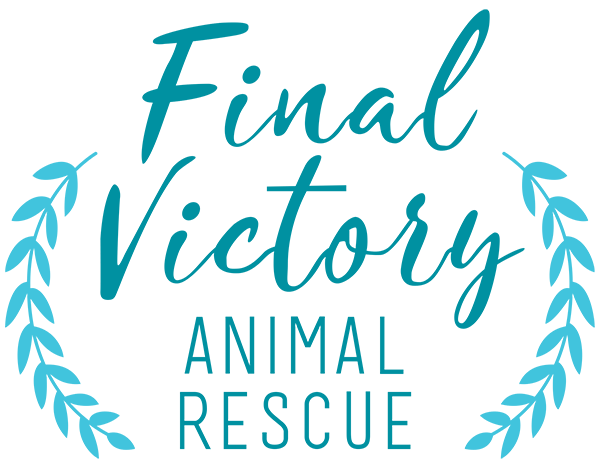 Final Victory Animal Rescue Beta Test