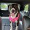 Mila