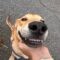 Sawyer