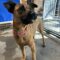 Eileen