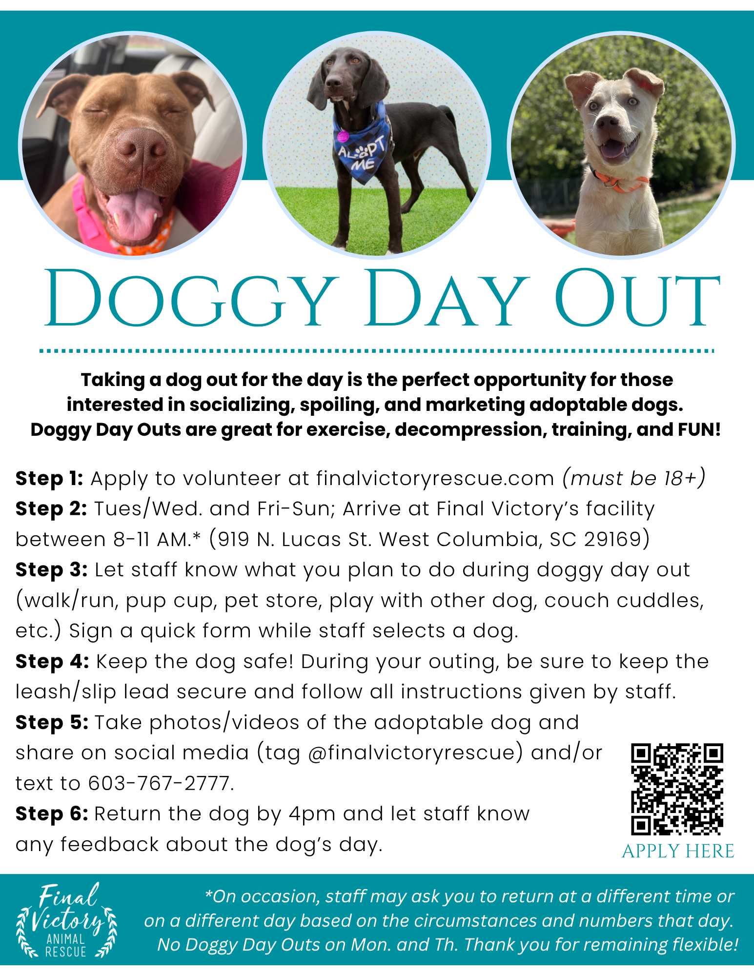 Doggy Day Out FVAR 8.2025