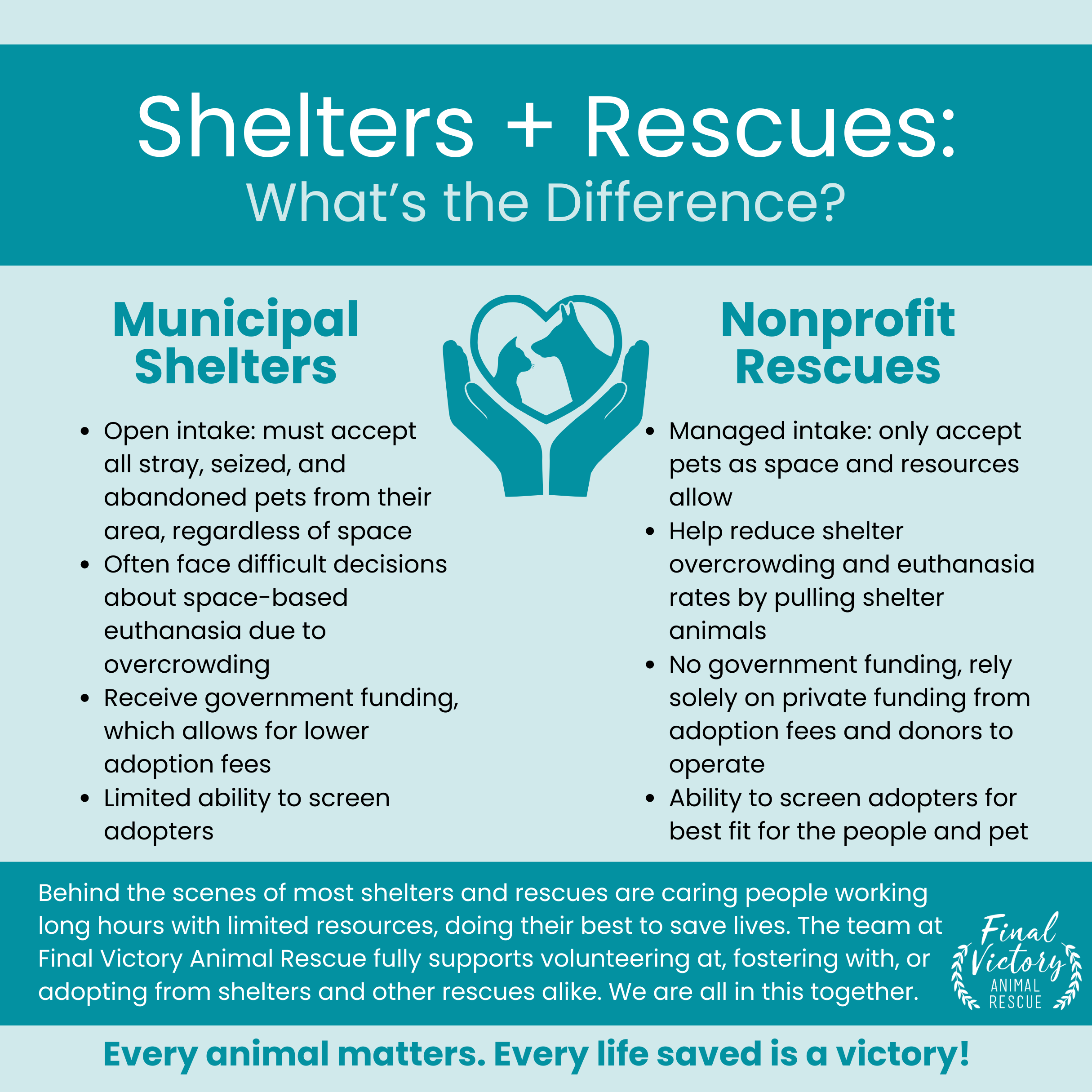 Shelters + Rescues